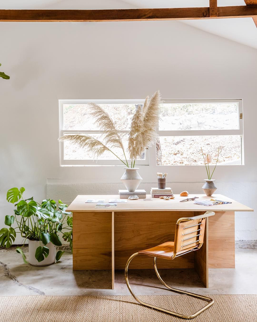 DIY Simple Fresh Plant decor🪴, Minimalist interior Decor [Pampas grass  inspired] [ENG-ESP]