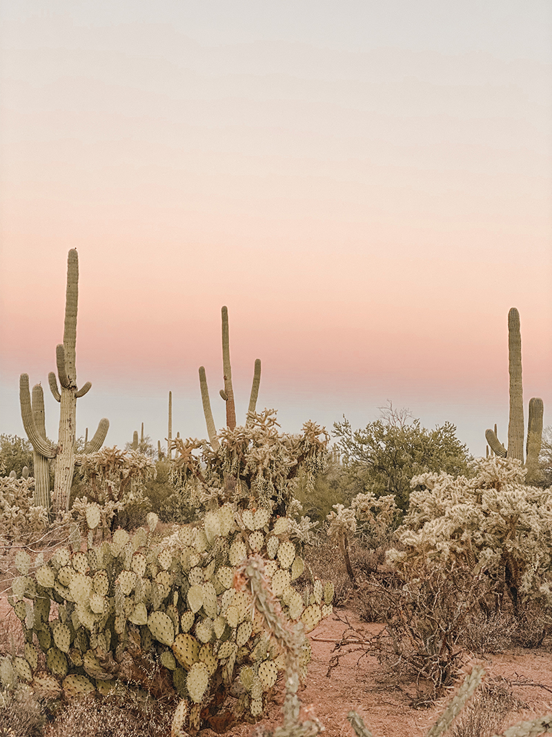 Tucson Travel Dairy | Erika Carlock | Bohemian Lifestyle Blog