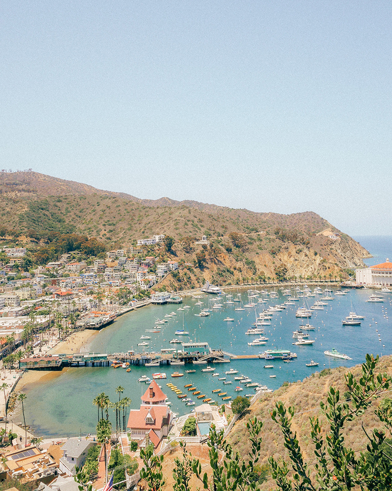 Travel Guide: A Week On Catalina Island | Erika Carlock | Bohemian ...