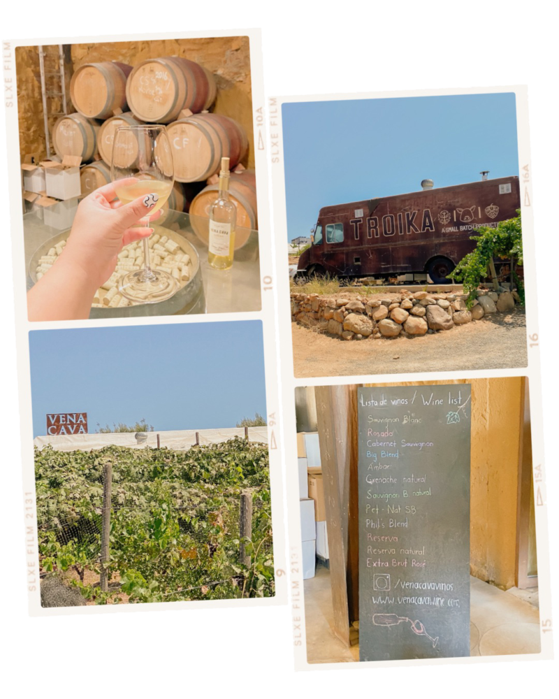 Valle de Guadalupe Travel Guide - 